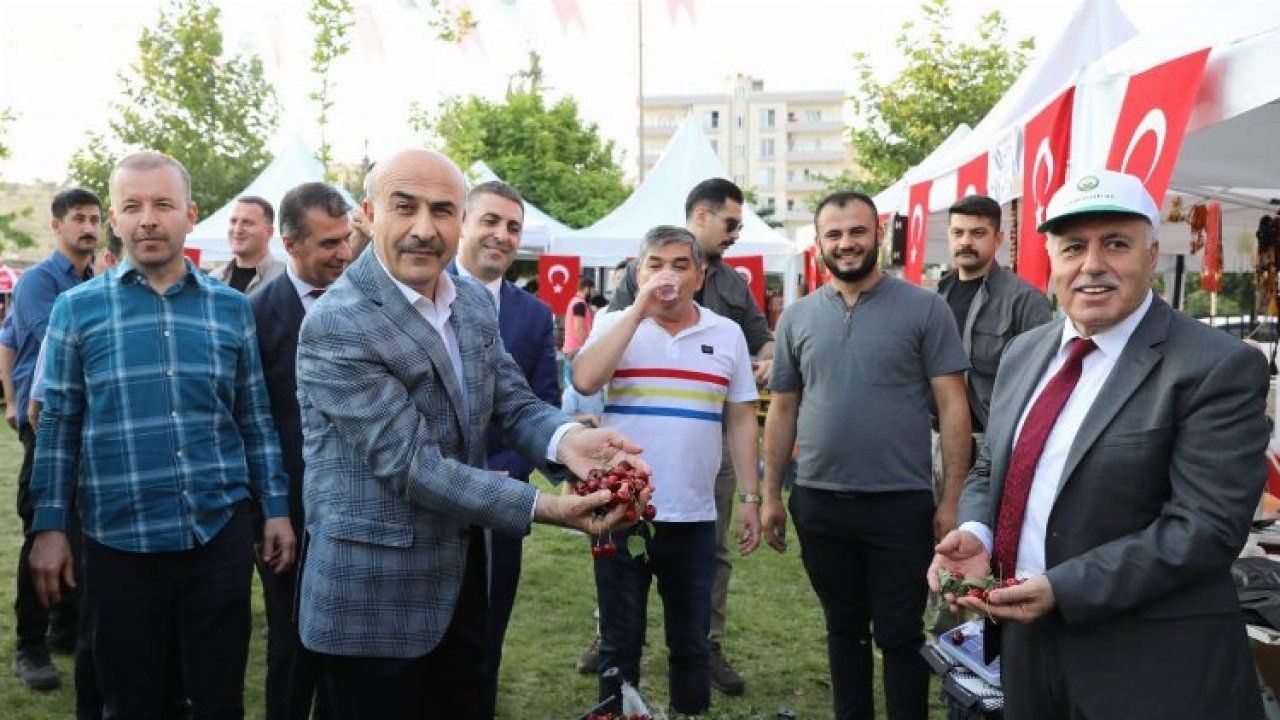 Mardin'de 16. Kiraz Festivali başladı