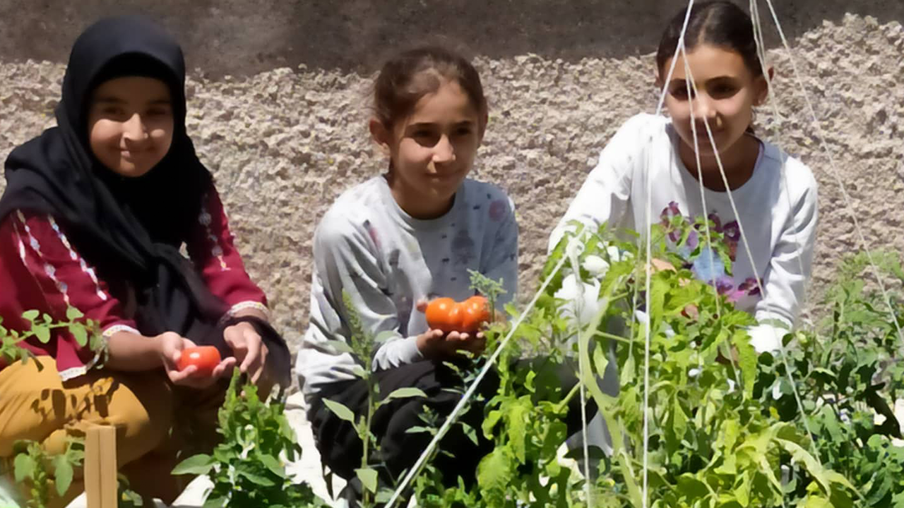 Okul Bahçesinde Sebze Bahçesi Oluşturuldu
