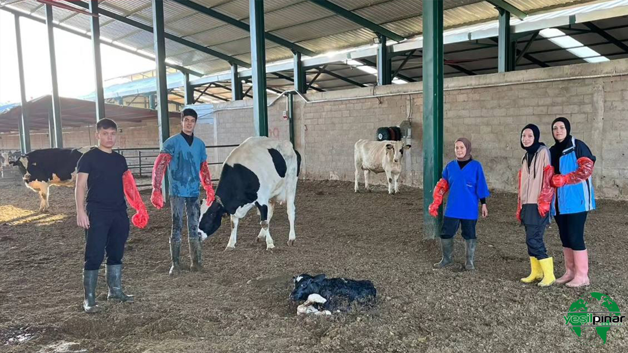 Karapınar Aydoğanlar MYO Öğrencileri Hayvan Çiftliklerinde Uygulama Yapıyor