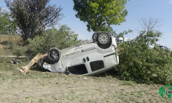 Ağaçlara Çarpan Otomobildeki 1 Kişi Yaralandı