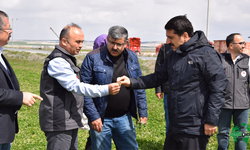 Kaymakam Öztürk, Zirai Don Sonrası Tarım Arazilerinde İncelemelerde Bulundu