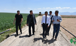 Kırsal Alanda Yol Yapım, Bakım ve Onarım çalışmaları Devam Ediyor
