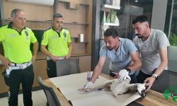 Karapınar'da Polis Ekiplerinden Örnek Davranış: Yaralı Leylek Tedavi Altına Alındı