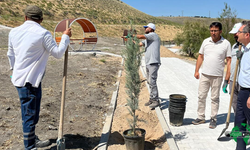 Acıgöl Çevresinde Yeşil  Dönüşüm Devam Ediyor