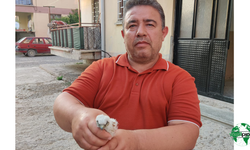 Karapınar’da Bulunan Yavru Doğan Kuşu Koruma Altına Alındı