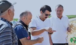 Kaymakam  ÖZTÜRK, Sazlıpınar Mahallesi’nde Hasat ve Vatandaş Buluşmasına Katıldı