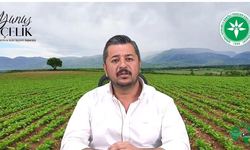 Yunus Çelik’ten Talha Üzer’in İddialarına Sert Yanıt: