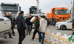 Çiftçiler İçin Yüzde 50 Hibeli Aspir Tohumu Desteği