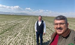 Karapınar’da Hububat Ekili Alanlarda Gelişim Yerinde İncelendi