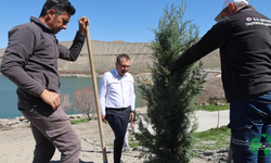 Doğal Güzelliğimiz Acıgöl’de 500 Yeni Fidan Toprakla Buluşturuldu