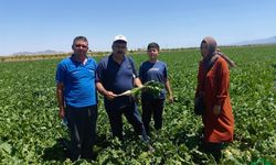 Karapınar Ziraat Odası’ndan Hububat Ekili Alanlarda Teknik İnceleme