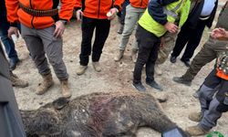 Karapınar’da Tarım Arazilerini Korumaya Yönelik Kontrollü Sürek Avı Gerçekleştirildi
