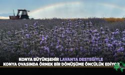 Konya Büyükşehir Lavanta Desteğiyle Konya Ovasında Örnek Bir Dönüşüme Öncülük Ediyor