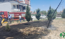 Karapınar'da Park Yangını Paniği: İki Ağaç Kül Oldu
