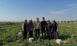 Başkan Önal, Hırtlak Üreticileriyle Tarlada Buluştu