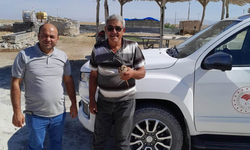 Karapınar'da Yaralı Bulunan Kızıl Şahin Tedavi Altına Alındı