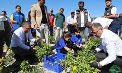 Karapınar’da Gençler Üretti, Hasat Etti ve Paylaştı