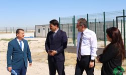Sokak Hayvanları Doğal Yaşam Alanı ve Rehabilitasyon Merkezi’nde Çalışmalar Sürüyor