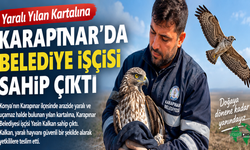 Karapınar’da Yaralı Yılan Kartalına Belediye İşçisi Sahip Çıktı