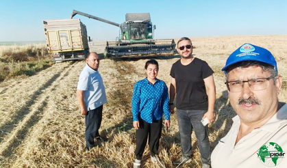 Karapınar’da Hububat Hasadı Hız Kazandı: Verim Yüksek, Fiyat Beklentisi Karşılanmadı