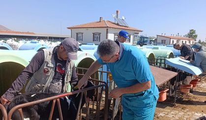 Karapınar’da Ari İşletmelerde Tüberküloz Taraması Sürüyor