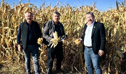 Karapınar’da Hasat Mesaisi Sürüyor: Üreticinin Pancar Fiyatı Beklentisi Karşılanmadı