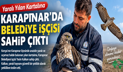 Karapınar’da Yaralı Yılan Kartalına Belediye İşçisi Sahip Çıktı