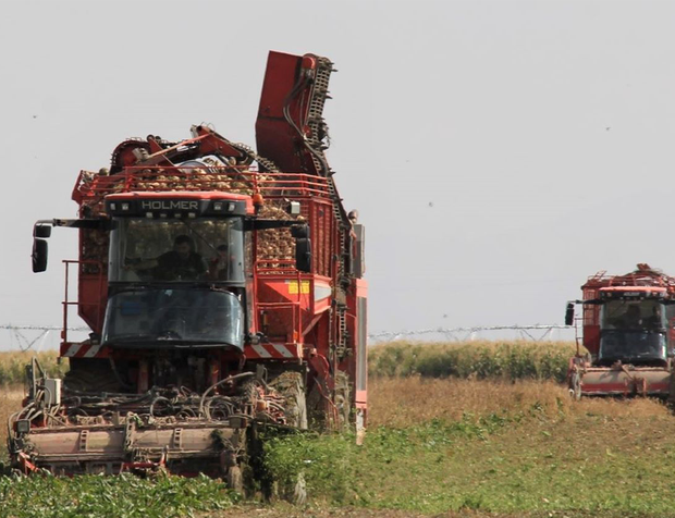 Konya Şeker'den 113 Milyon 484 Bin Liralık Motorin Avansı