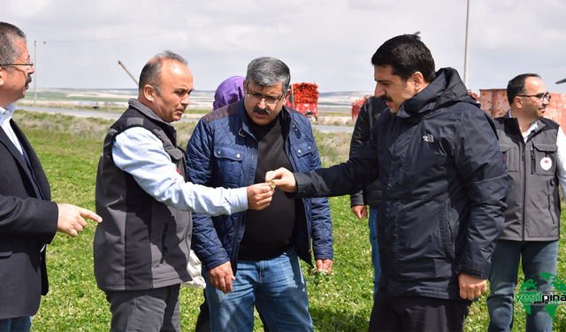 Kaymakam Öztürk, Zirai Don Sonrası Tarım Arazilerinde İncelemelerde Bulundu