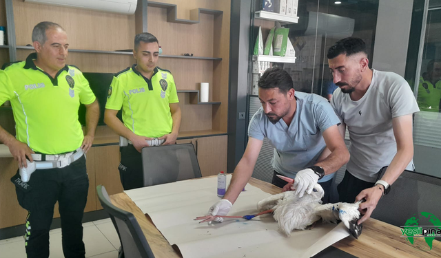 Karapınar'da Polis Ekiplerinden Örnek Davranış: Yaralı Leylek Tedavi Altına Alındı