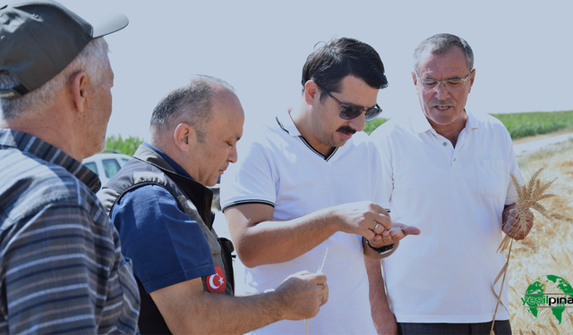 Kaymakam  ÖZTÜRK, Sazlıpınar Mahallesi’nde Hasat ve Vatandaş Buluşmasına Katıldı