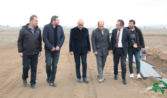Karapınar’da Sokak Hayvanları İçin Doğal Yaşam Alanı Çalışmaları Sürüyor