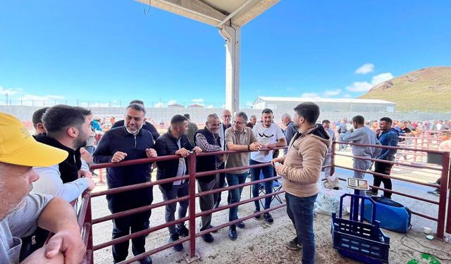 Kurban Bayramı Öncesi Canlı Hayvan Pazarında Yoğunluk Yaşanıyor