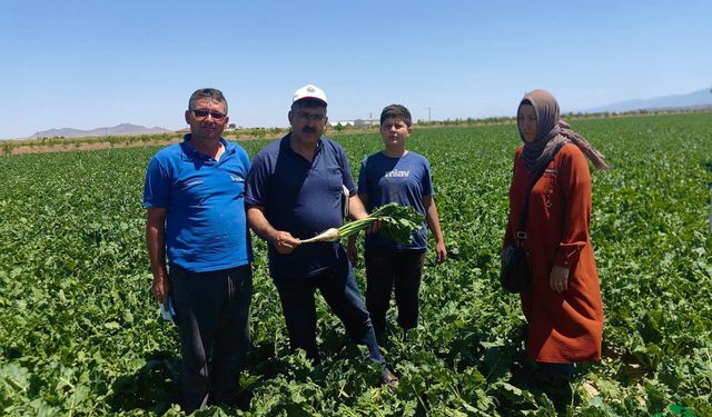 Karapınar Ziraat Odası’ndan Hububat Ekili Alanlarda Teknik İnceleme