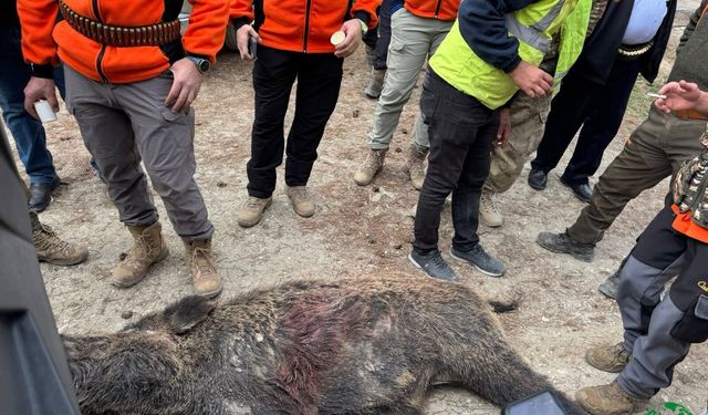 Karapınar’da Tarım Arazilerini Korumaya Yönelik Kontrollü Sürek Avı Gerçekleştirildi