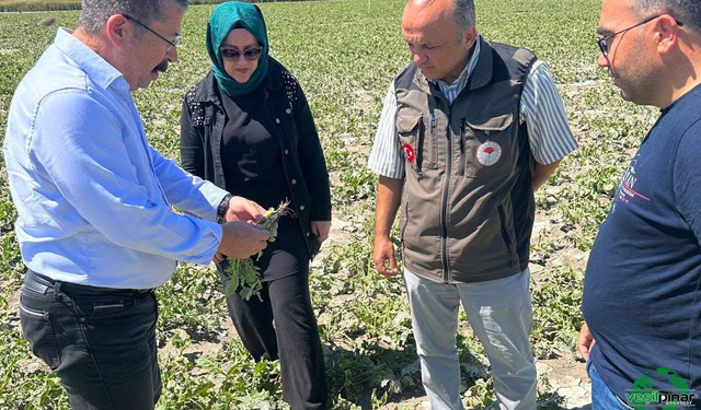 Küçükaşlama Mahallesi’nde Dolu Zararına Yerinde İnceleme