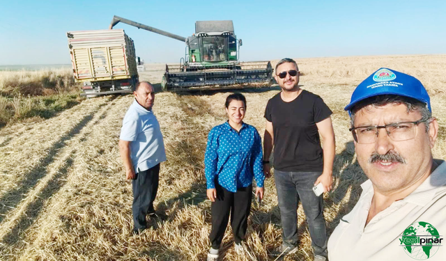 Karapınar’da Hububat Hasadı Hız Kazandı: Verim Yüksek, Fiyat Beklentisi Karşılanmadı
