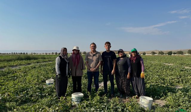 Başkan Önal, Hırtlak Üreticileriyle Tarlada Buluştu