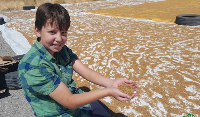 Karapınar’da Evlerde Bulgur Telaşı: Asırlık Gelenek Yaşatılıyor