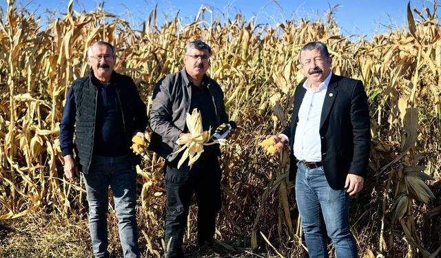 Karapınar’da Hasat Mesaisi Sürüyor: Üreticinin Pancar Fiyatı Beklentisi Karşılanmadı