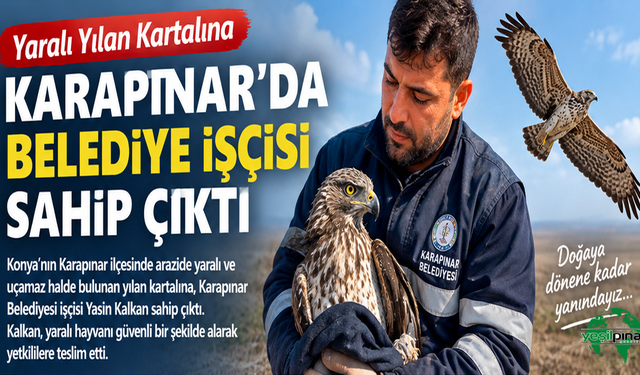 Karapınar’da Yaralı Yılan Kartalına Belediye İşçisi Sahip Çıktı