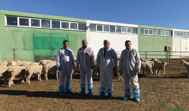 Karapınar İlçe Tarım Müdürü Filikçi’den Damızlık Koç Üretim Merkezine Ziyaret