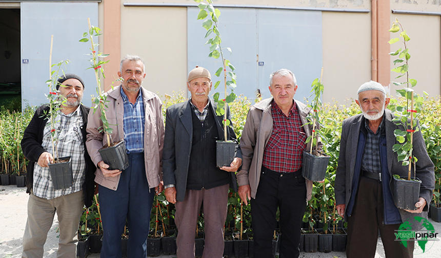 Konya Büyükşehir 31 İlçede Ürün Çeşitliliğini Artırmak İçin Çiftçiye Destek Oluyor