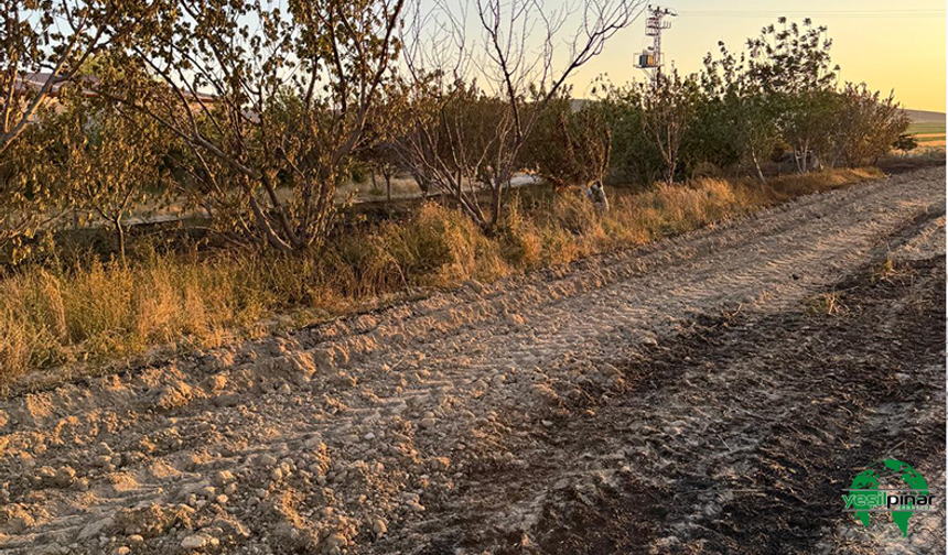 Karapınar’da Ekin Yangını: 15 Dekarlık Buğday Tarlası Kül Oldu