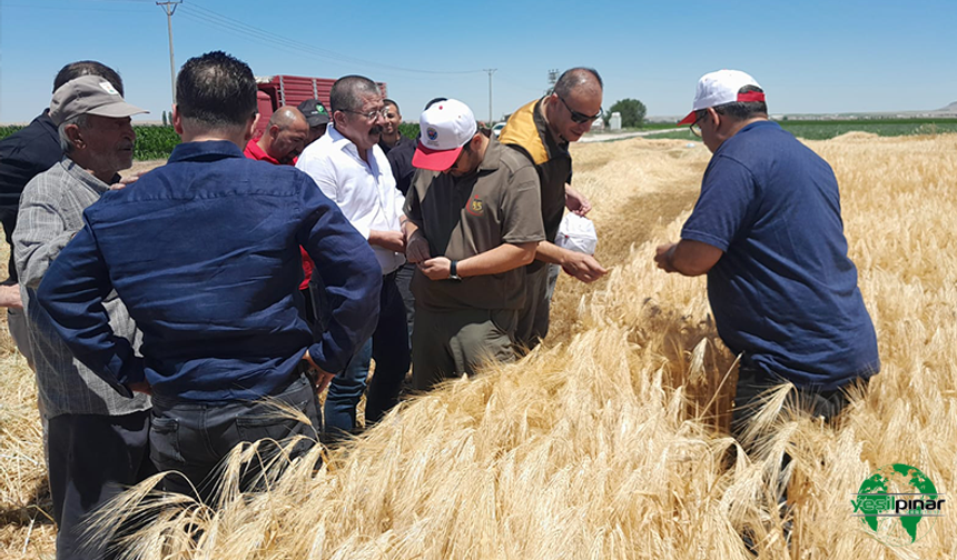 Karapınar Ziraat Odası, Hasat Sezonunda Çiftçilerin Yanında