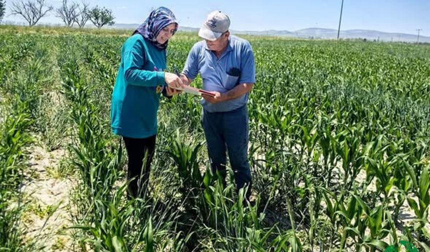 Karapınar'da Hasat Öncesi Son Durum Değerlendirildi