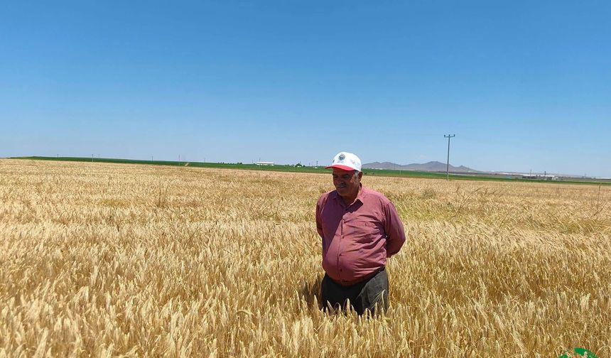 Karapınar Ziraat Odası’ndan Hububat Ekili Alanlarda Teknik İnceleme