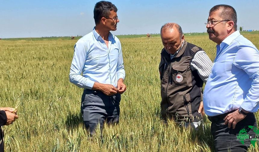 Küçükaşlama Mahallesi’nde Dolu Zararına Yerinde İnceleme