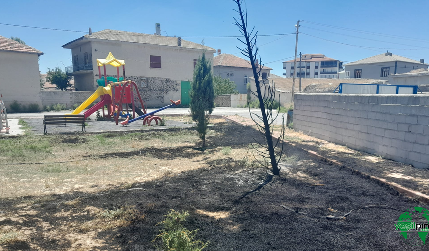Karapınar'da Park Yangını Paniği: İki Ağaç Kül Oldu
