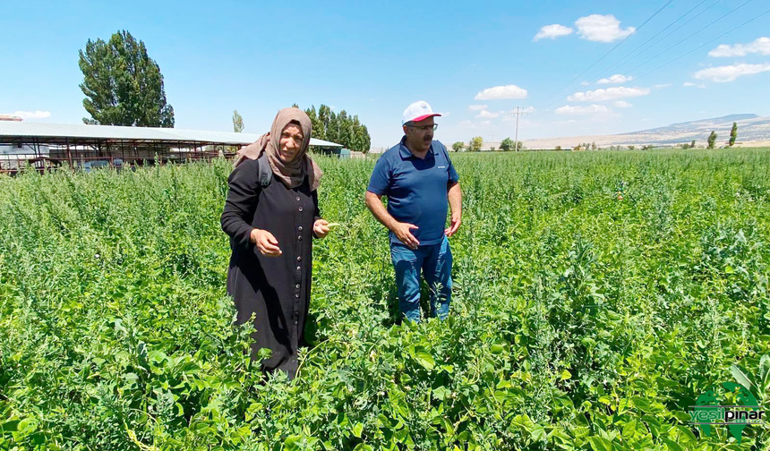 Karapınar Ziraat Odası’ndan Tarım Arazilerinde Saha İncelemesi